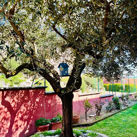La Mammola