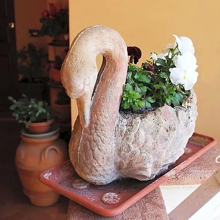 La Mammola
