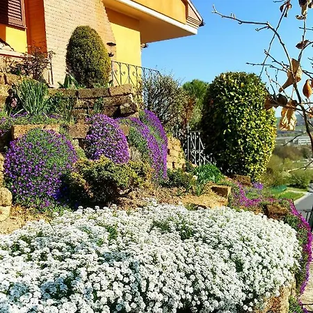 La Mammola Bed & Breakfast Fabriano