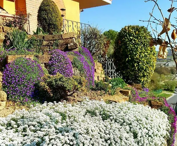 La Mammola 住宿加早餐酒店 法布里亚诺